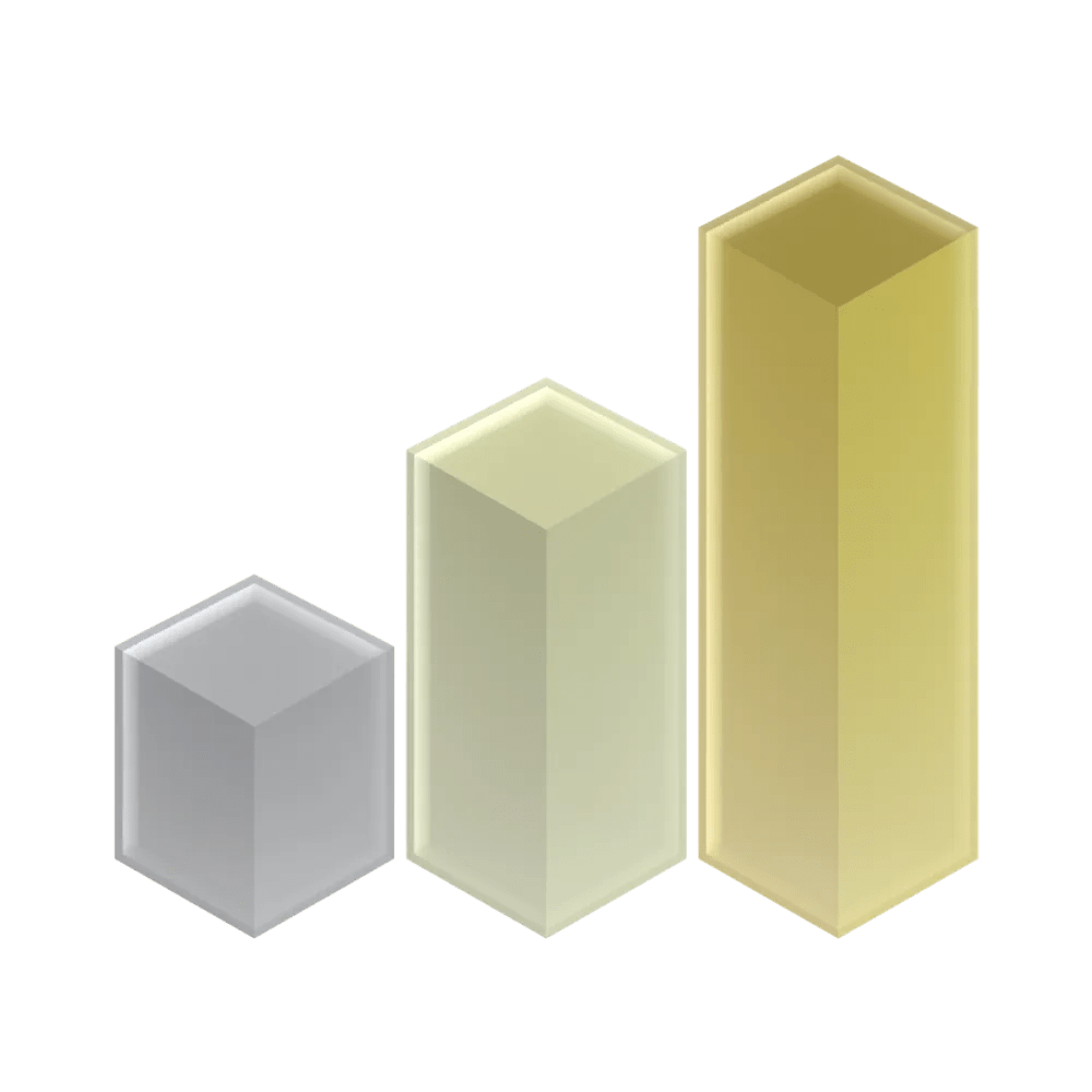 Bundle Stepping Logo