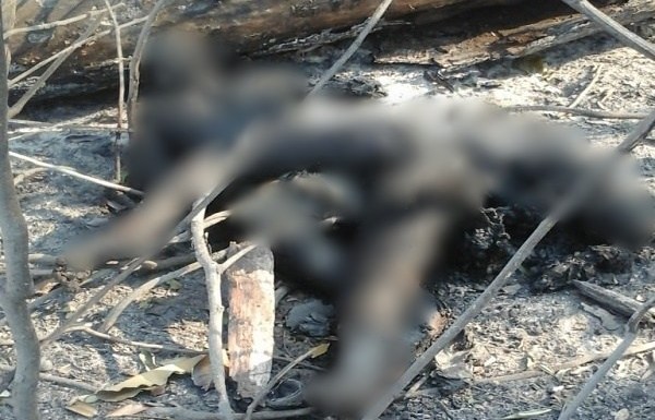 TRAGÉDIA: Casal de Idosos morre carbonizado em RO (IMAGENS FORTES)