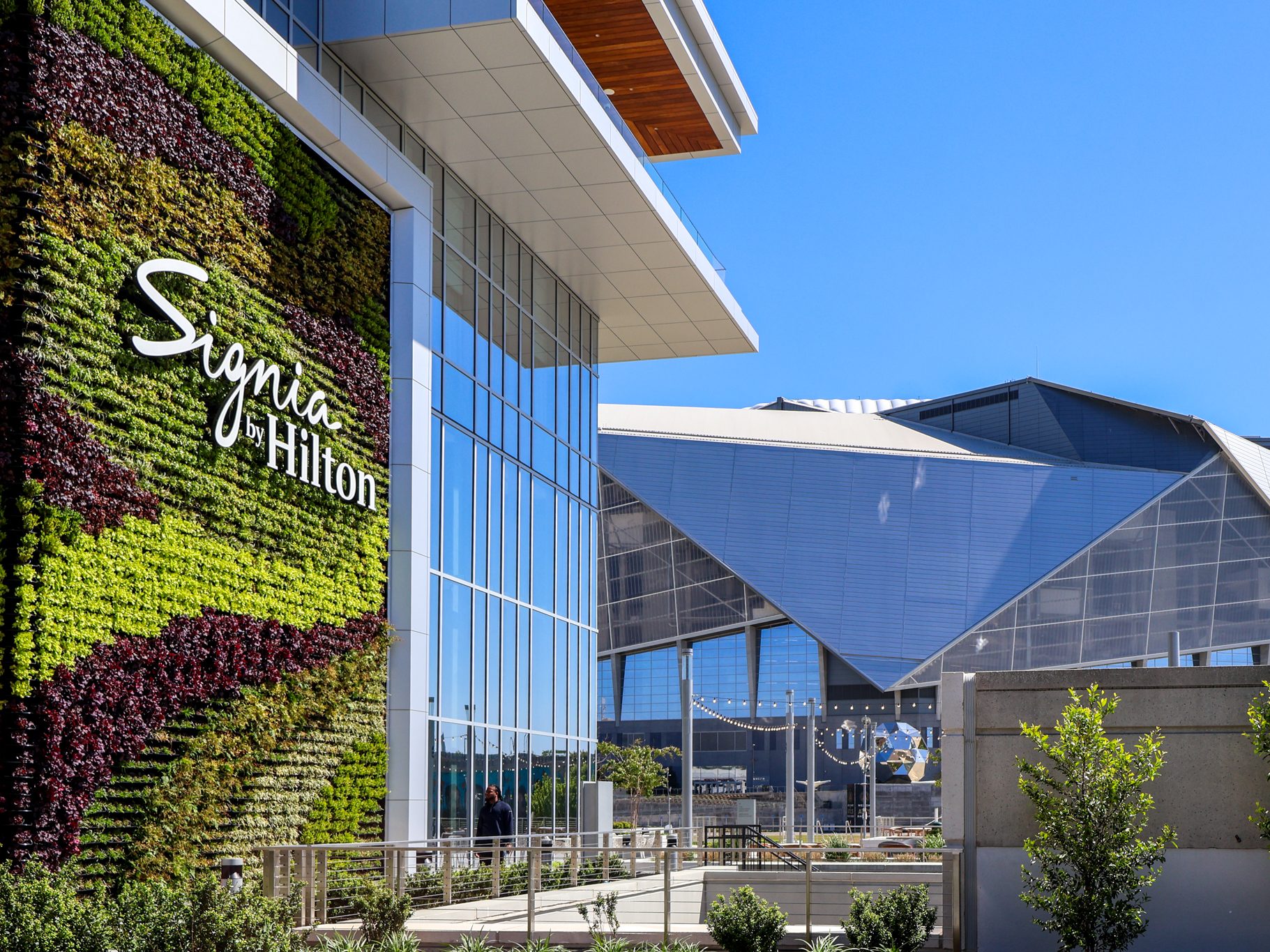 How Hotel Signia's 45ft Living Wall Became a Landmark in Downtown