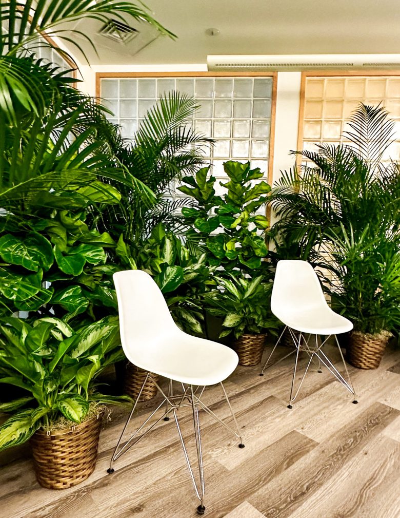 Jacksonville Commercial Plant Design | Living Walls & Plant