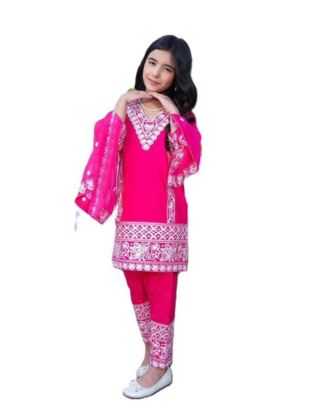Embroidered Party Wear Suit