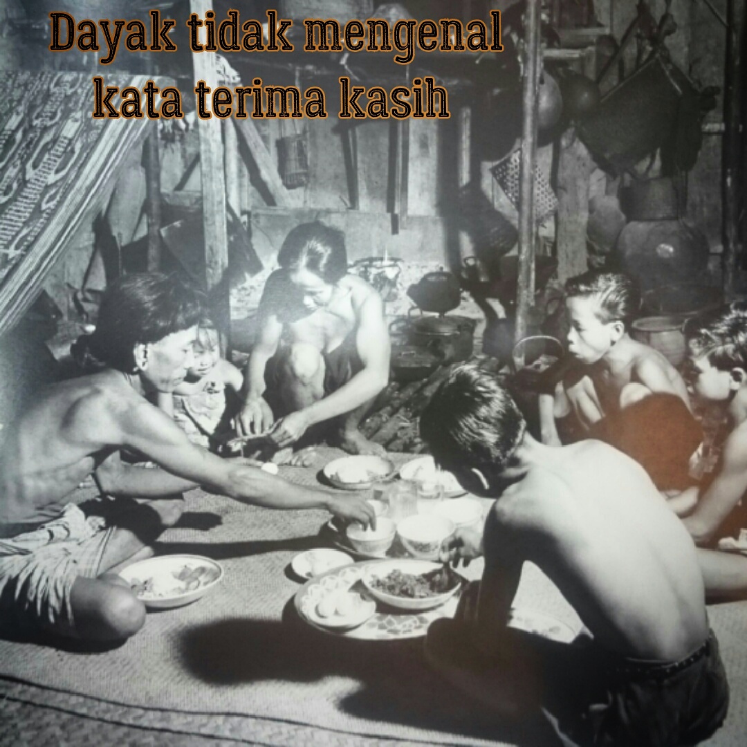 DAYAK TIDAK MENGENAL KATA TERIMA KASIH Folks Of Dayak