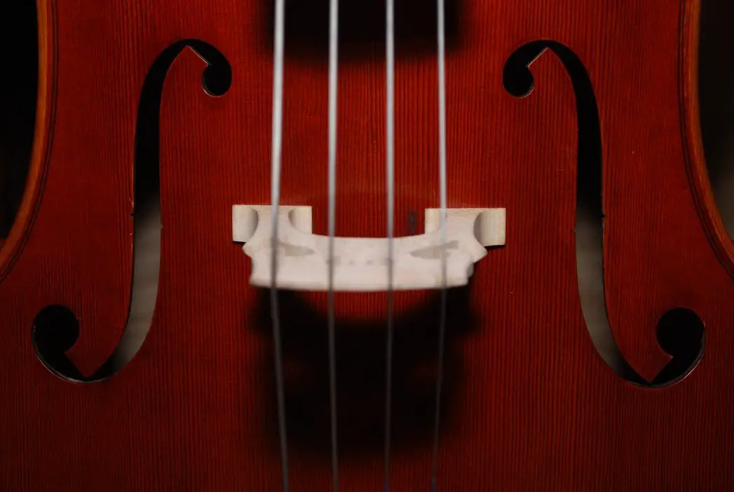 Is violin harder than guitar? the answer might shock you!