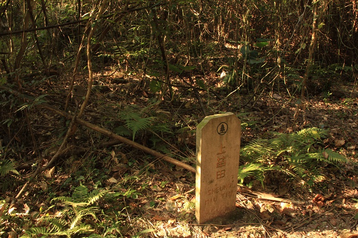 經過上苗田