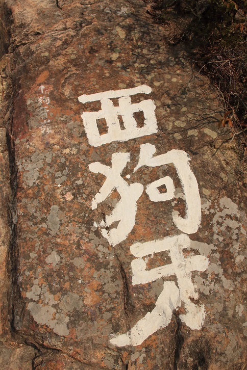 很難看不見這三隻大字