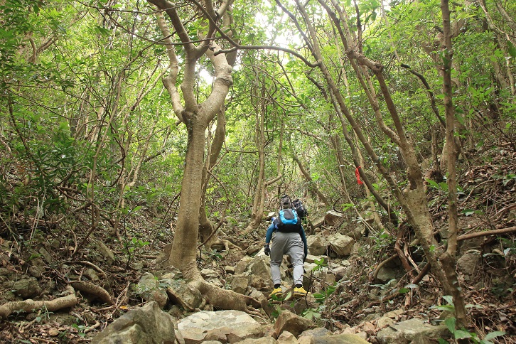 澗道尾段的碎石漸多