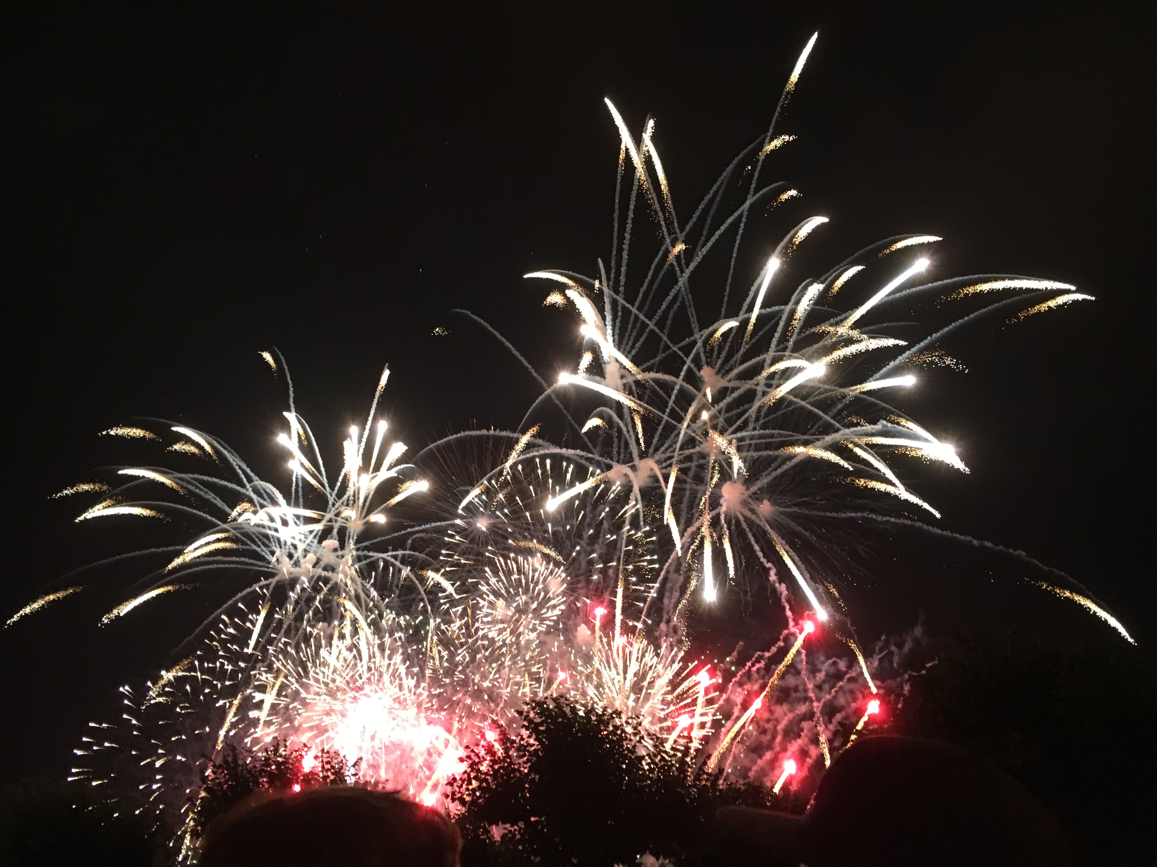 Rhine River Fireworks