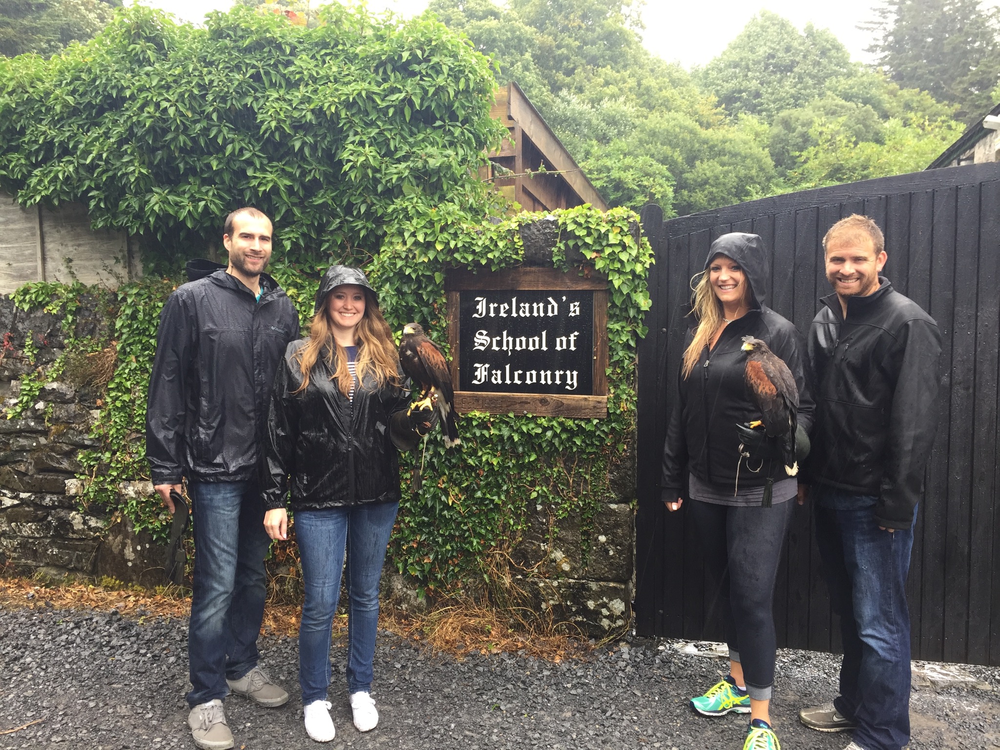 Falconry at the Ashford Castle