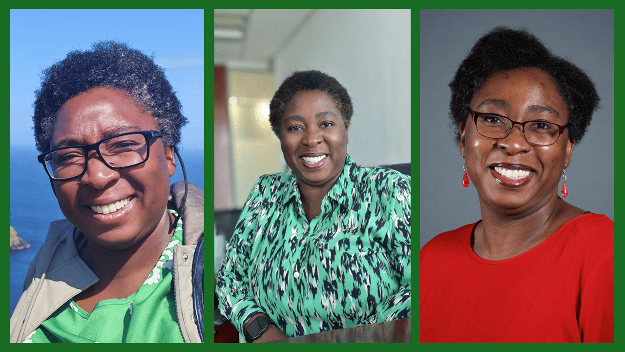 Still Political on World Afro Day: Ten Years After the Big Chop