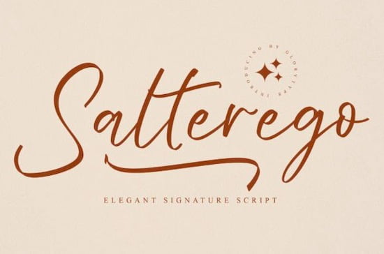Salterego Font