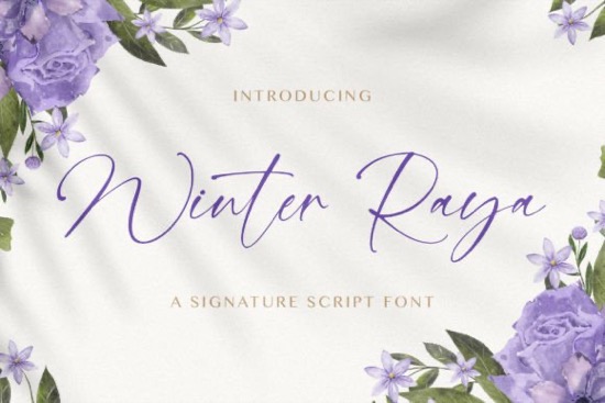 Winter Raya Font