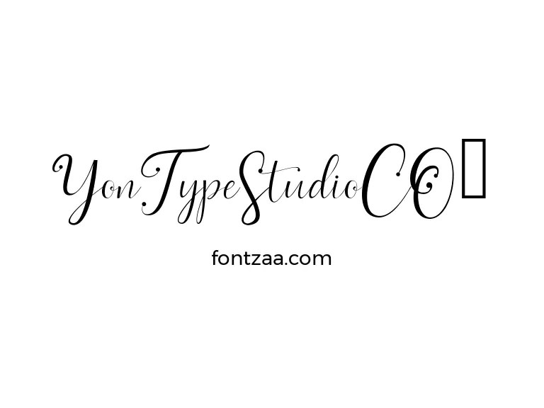 YonTypeStudioCO. Font Free Download