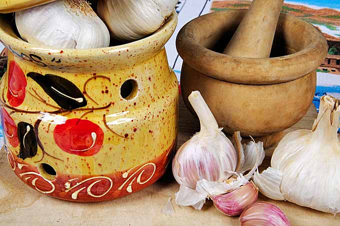 How to store garlic and keep it as fresh as possible