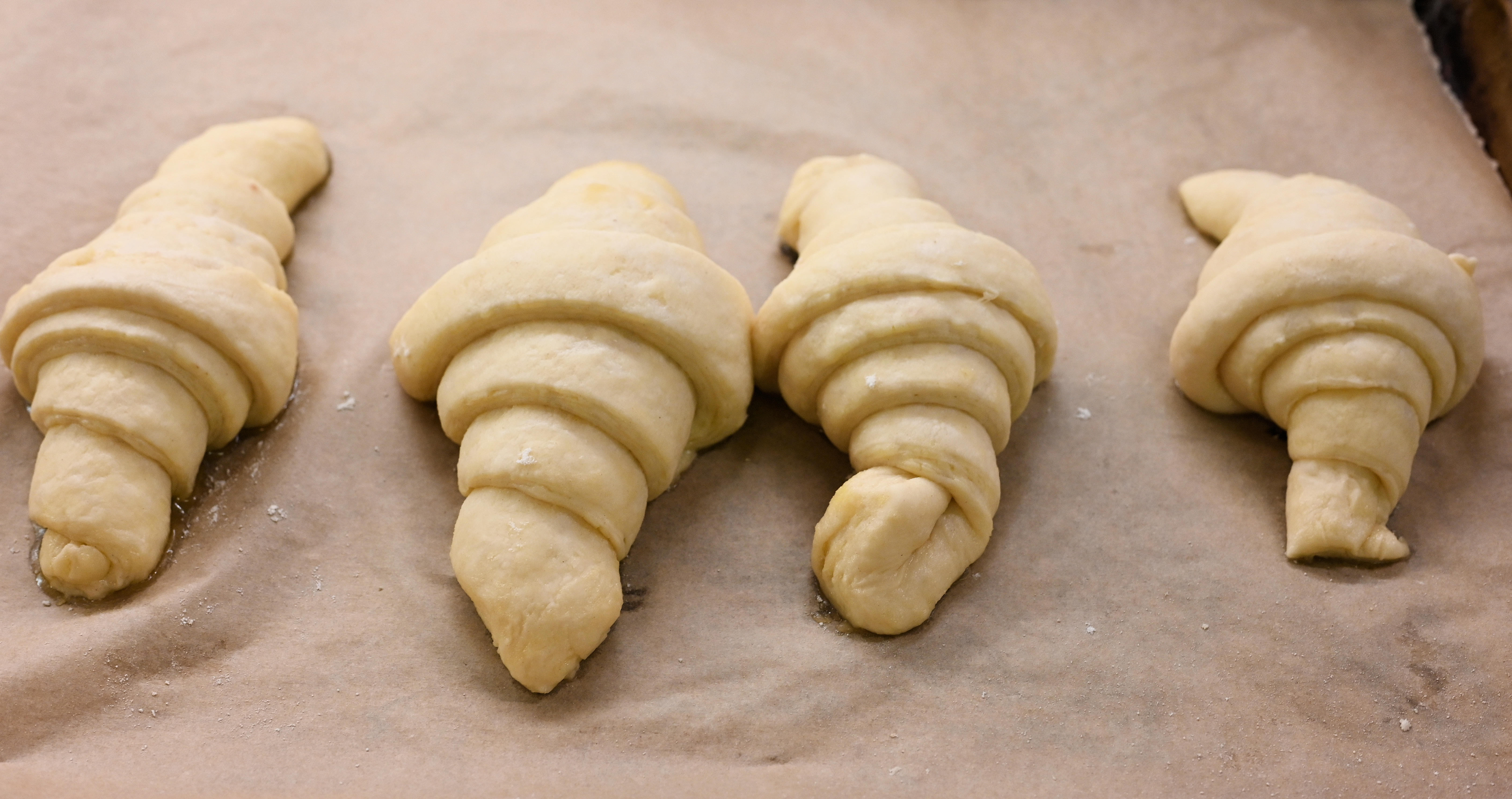Making full sized croissants – Food Science Institute