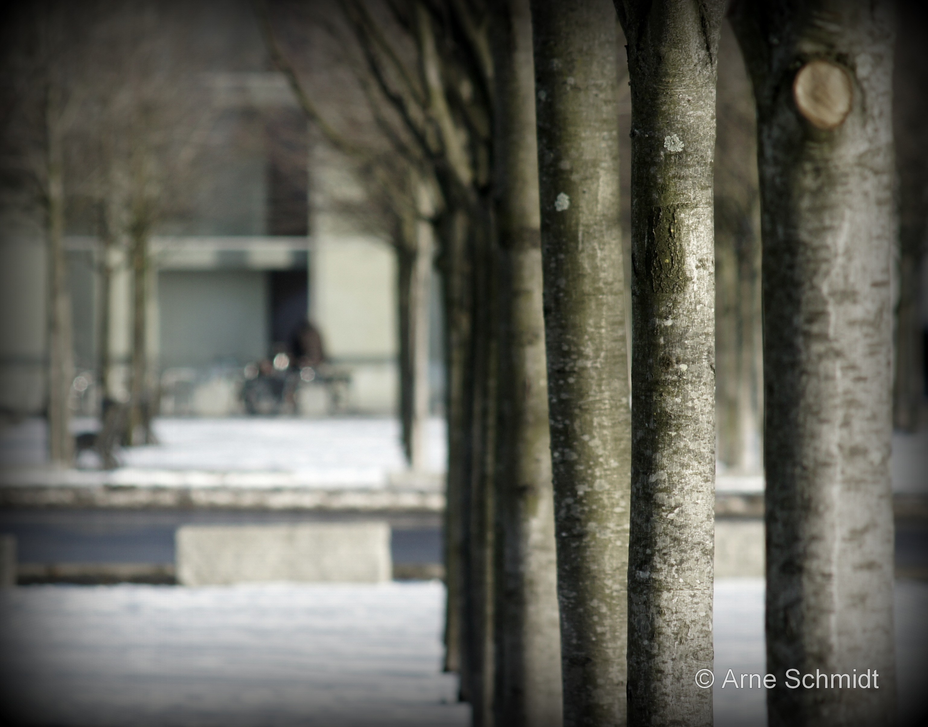Lines - Berlin Mitte near Chancellery, January 2013