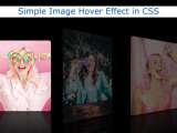 Simple Image Hover Effects In Html Css