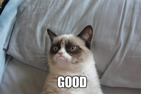 grumpy-cat-good