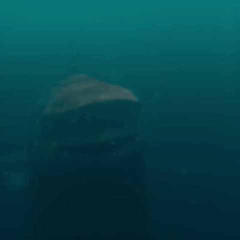 the meg