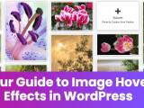 How To Add Image Hover Effects In Wordpress Easy Guide Foogallery