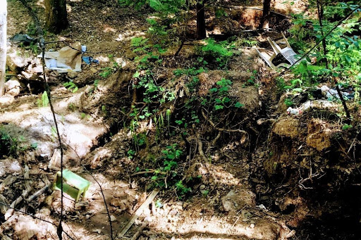volunteer clean watershed