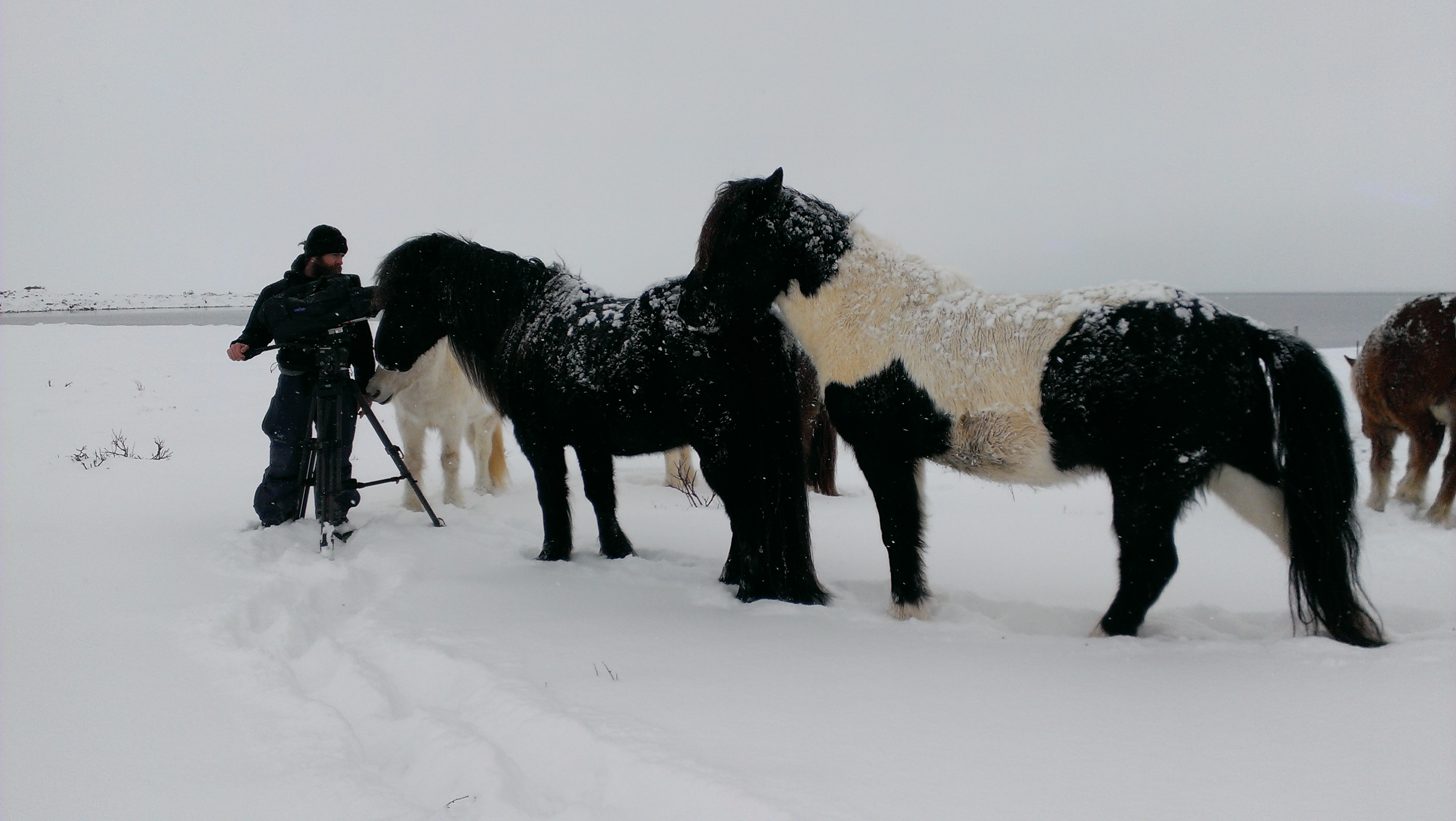 Ian meets the Locals Canon