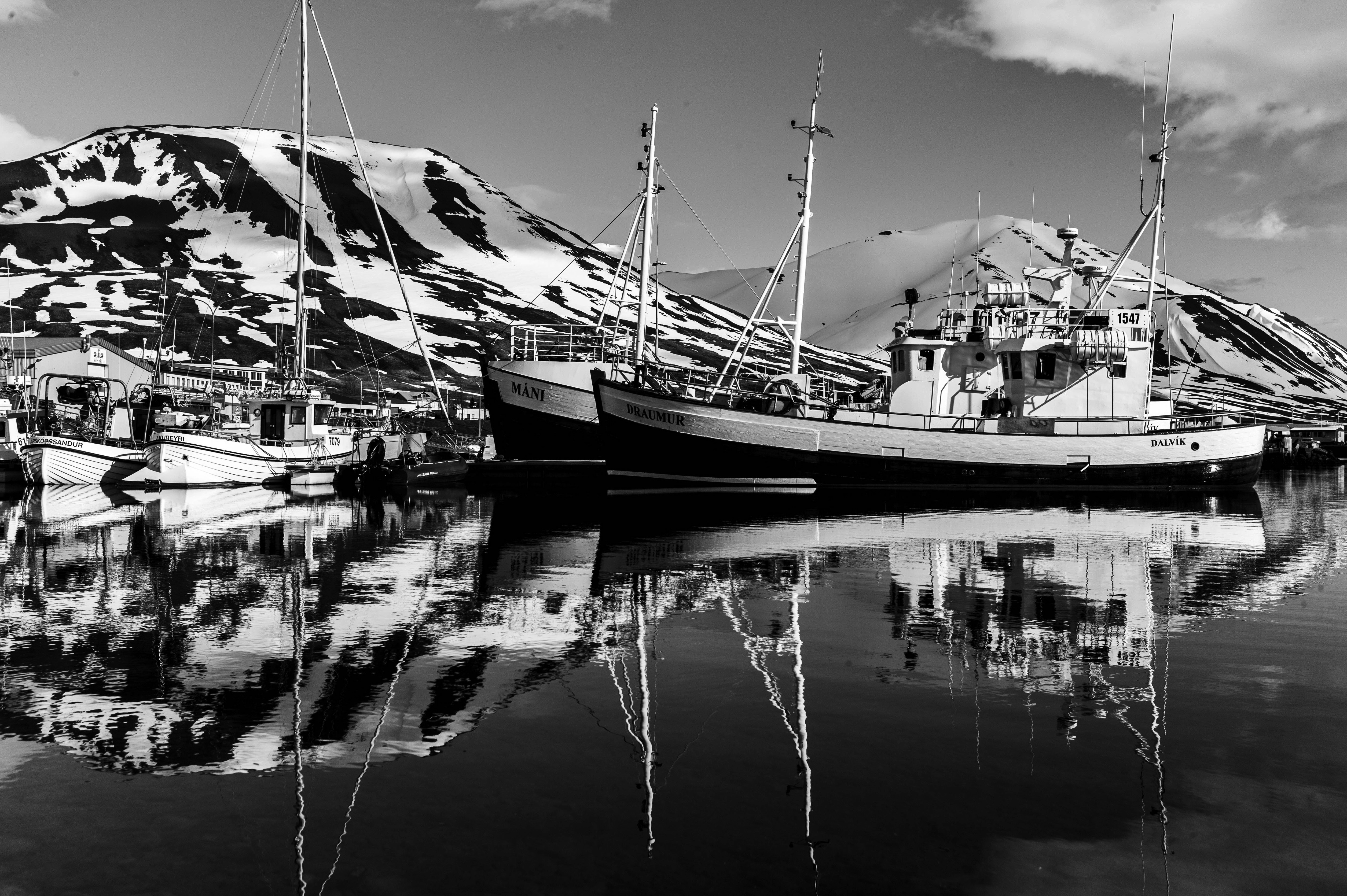 Dalvik - Leica