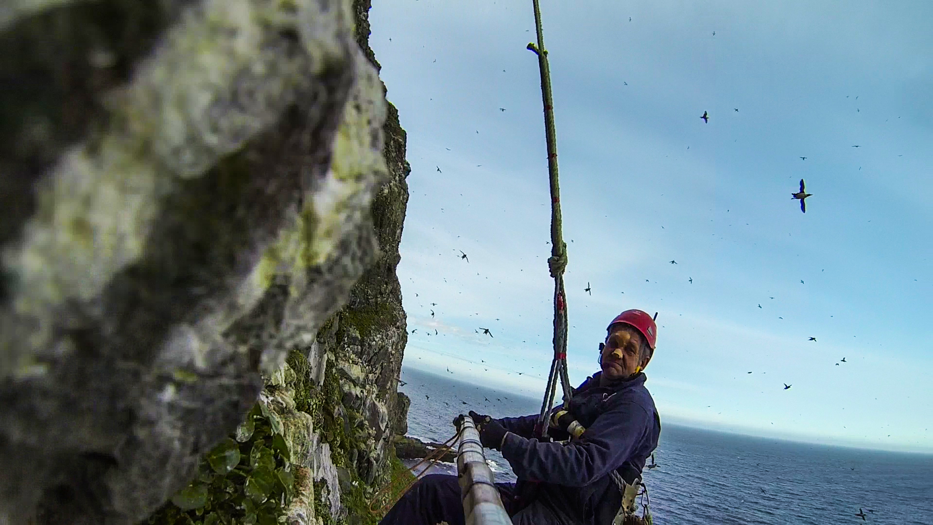 egg collecting - gopro