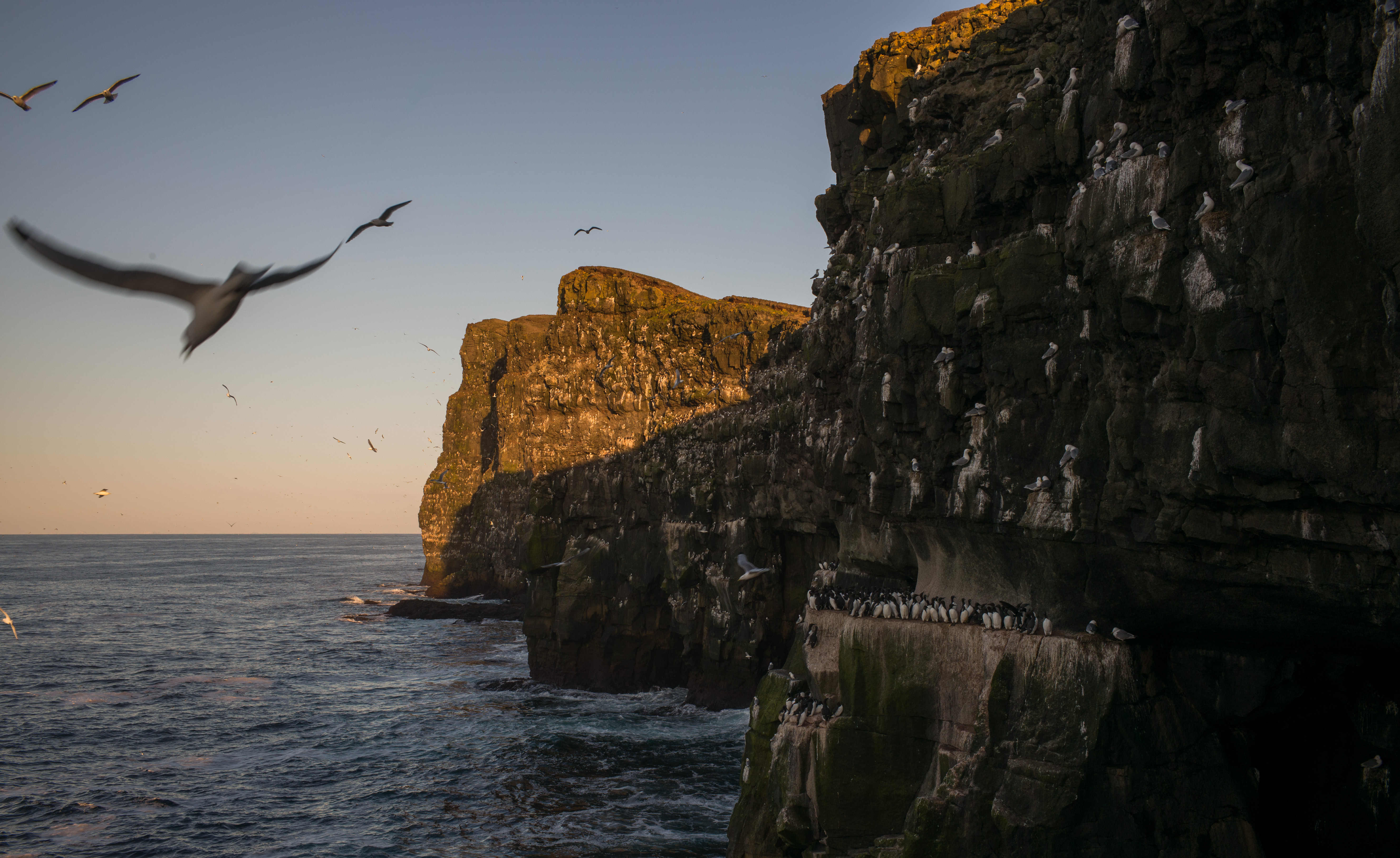 L1002549