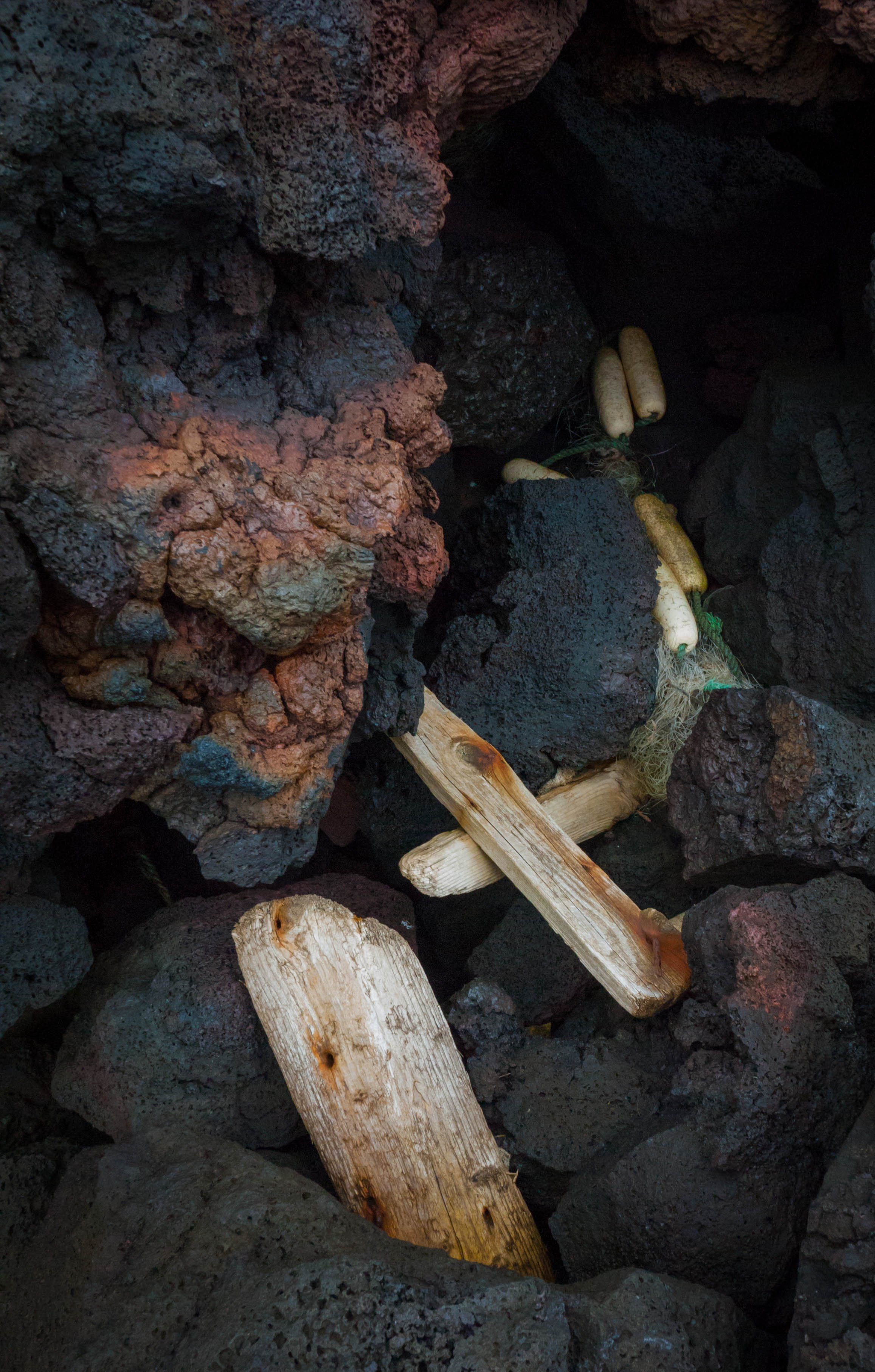 Drift wood and lava Canon