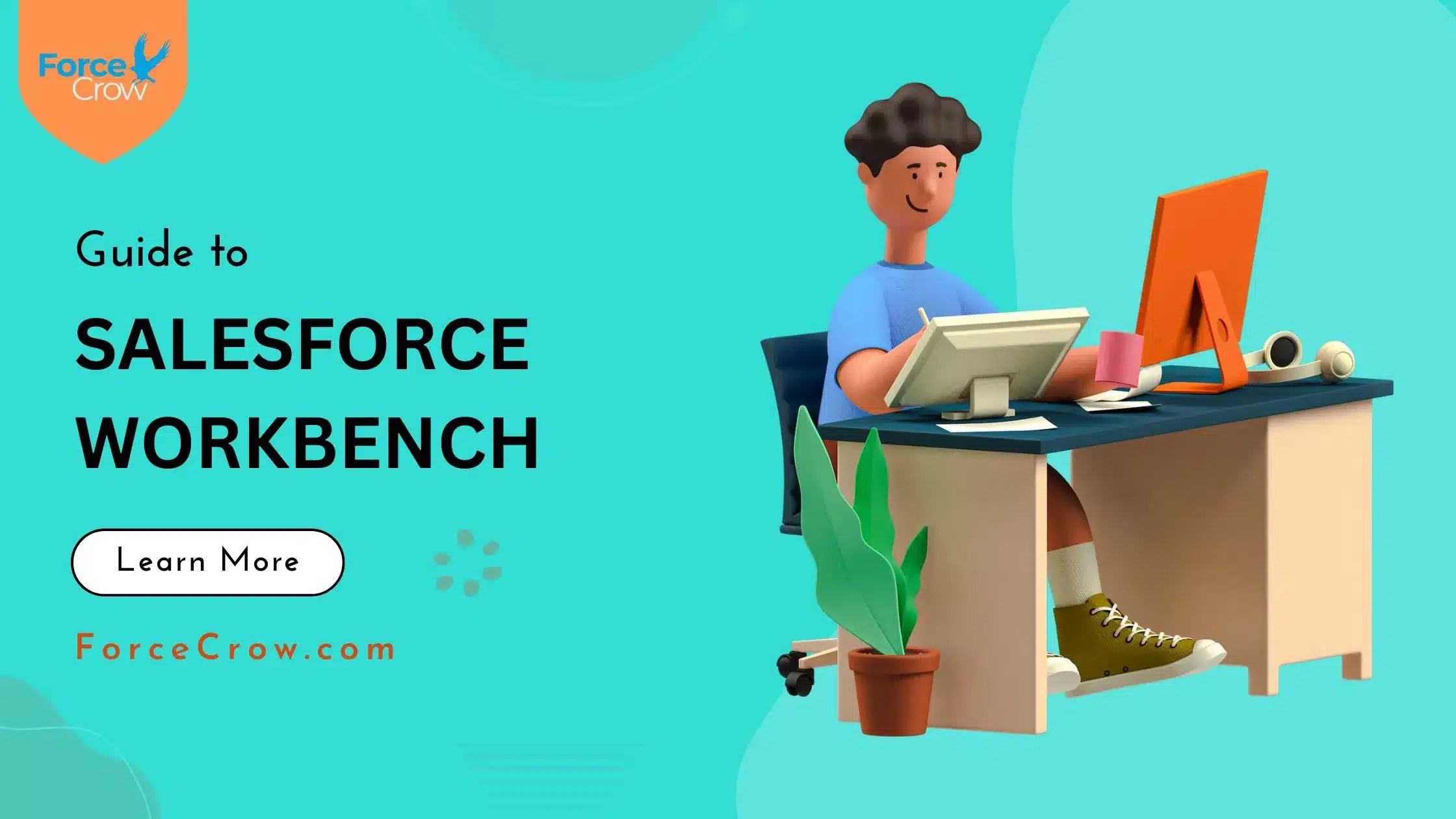 Salesforce Workbench