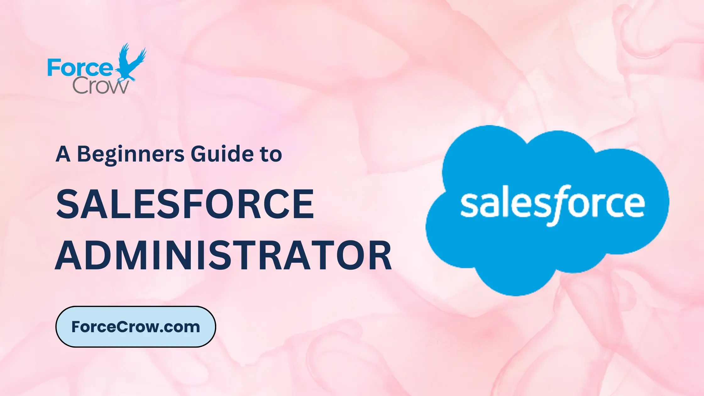 Salesforce Administrator