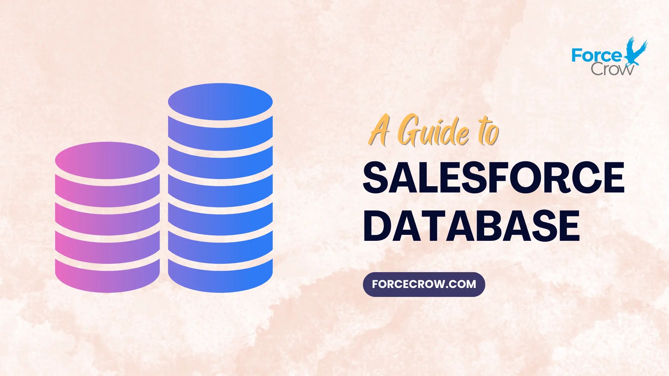 Salesforce Database