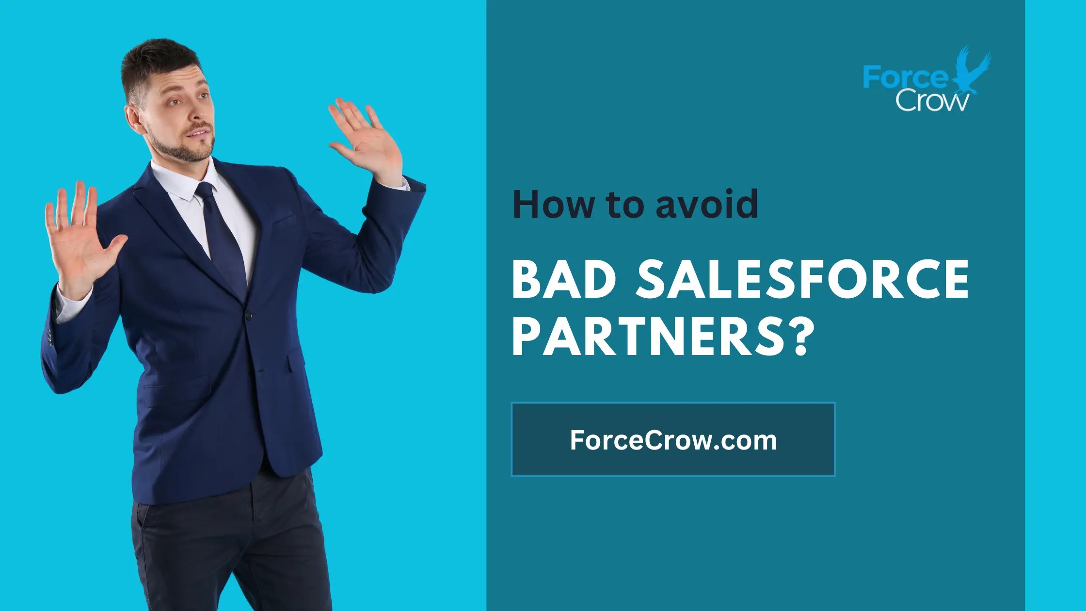 Bad Salesforce Partners