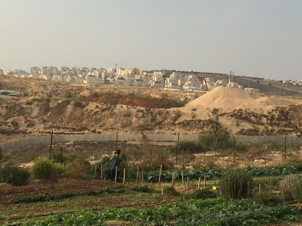 The farm with the Modi'in settlement in the background
