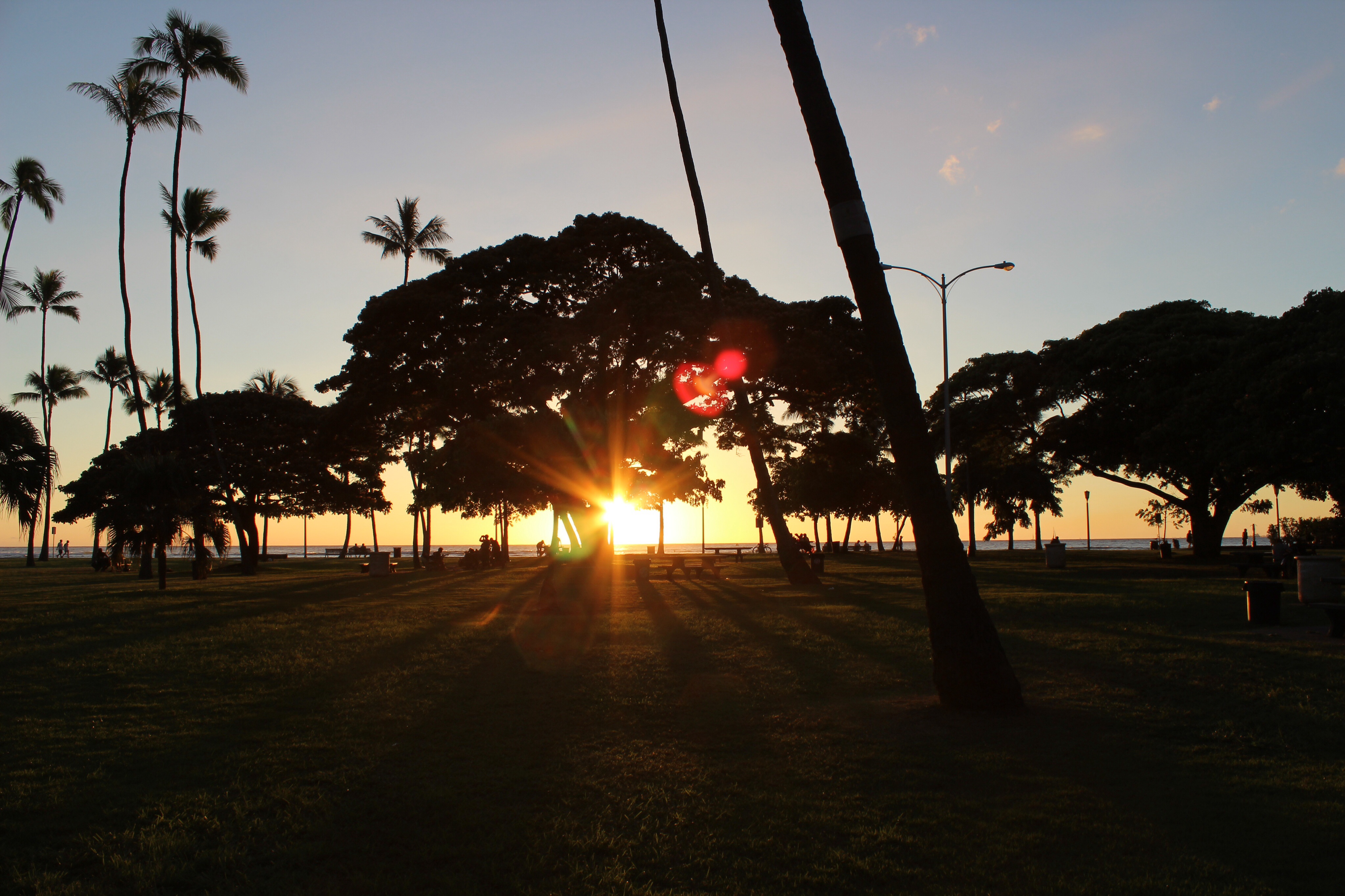 waikiki beach sunset