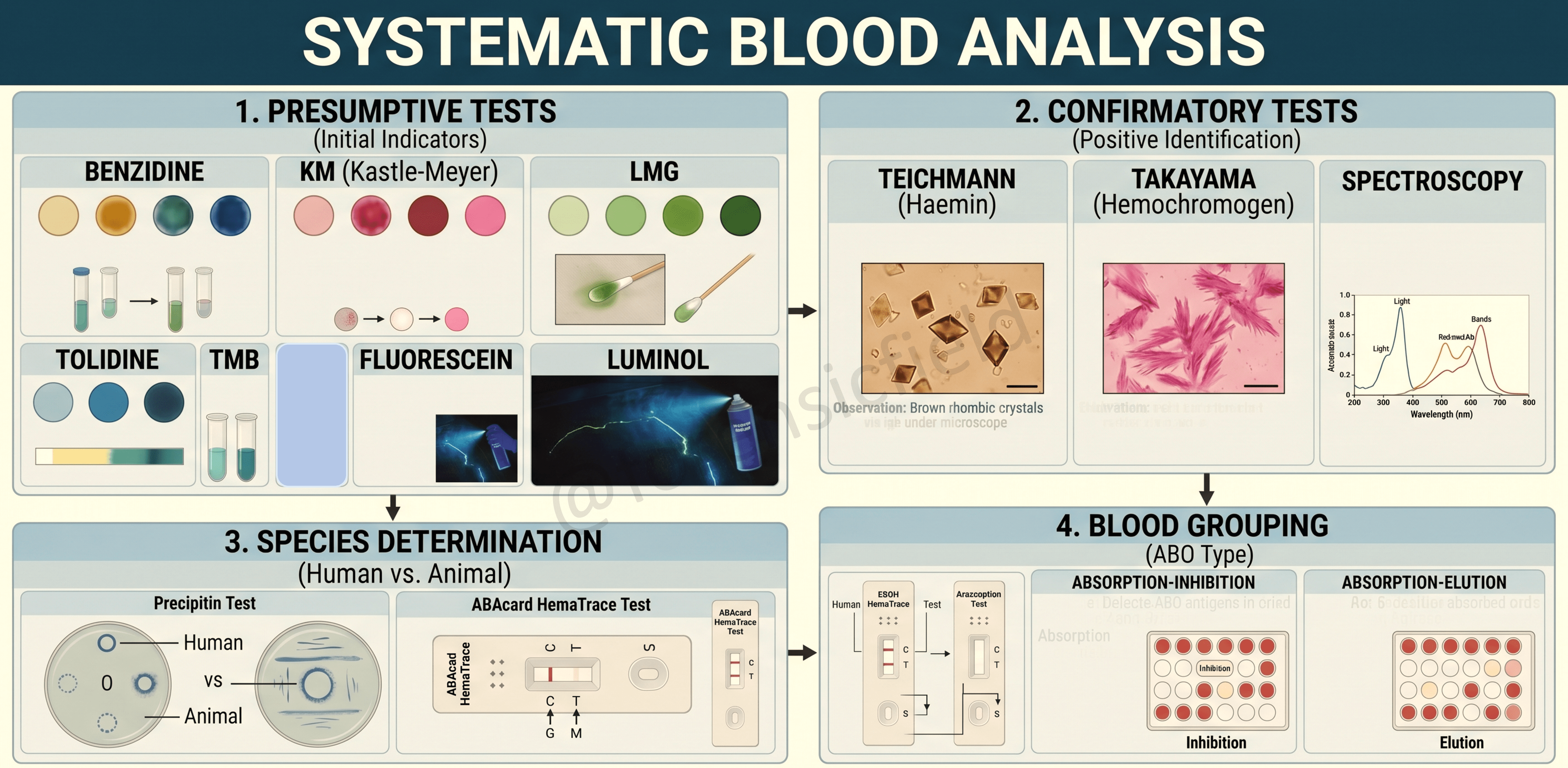 Forensic Blood Examination: Presumptive, Confirmatory, Species Determination and Grouping Tests