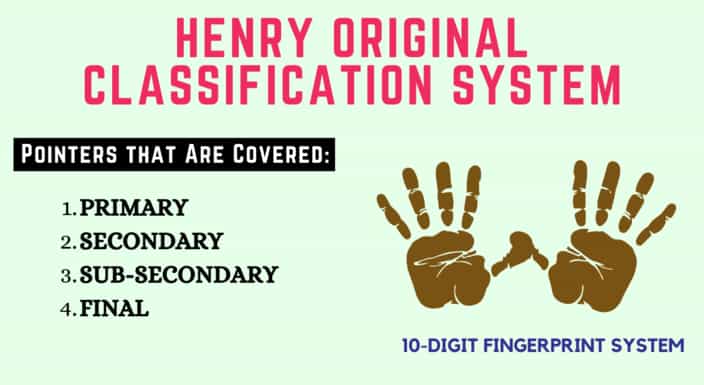 Github Vmdharan Fingerprint Classification The Henry Classification - Professional Space Design - Full HD