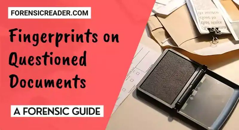 Questioned Documents Pdf Signature Hand - Best Vintage Textures in HD