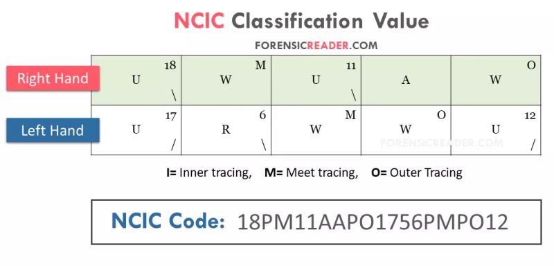 Ncic Culture Comparably - Landscape Picture Collection - 8K Quality