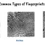 Comparing Fingerprints: [Activity] For Students & Teachers