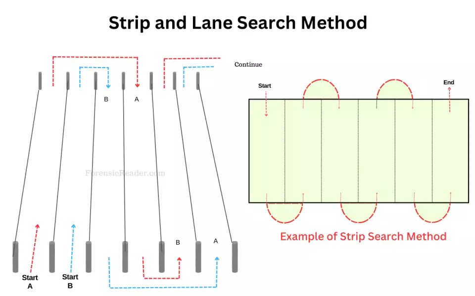 Crime scene search methods & patterns [use + examples]