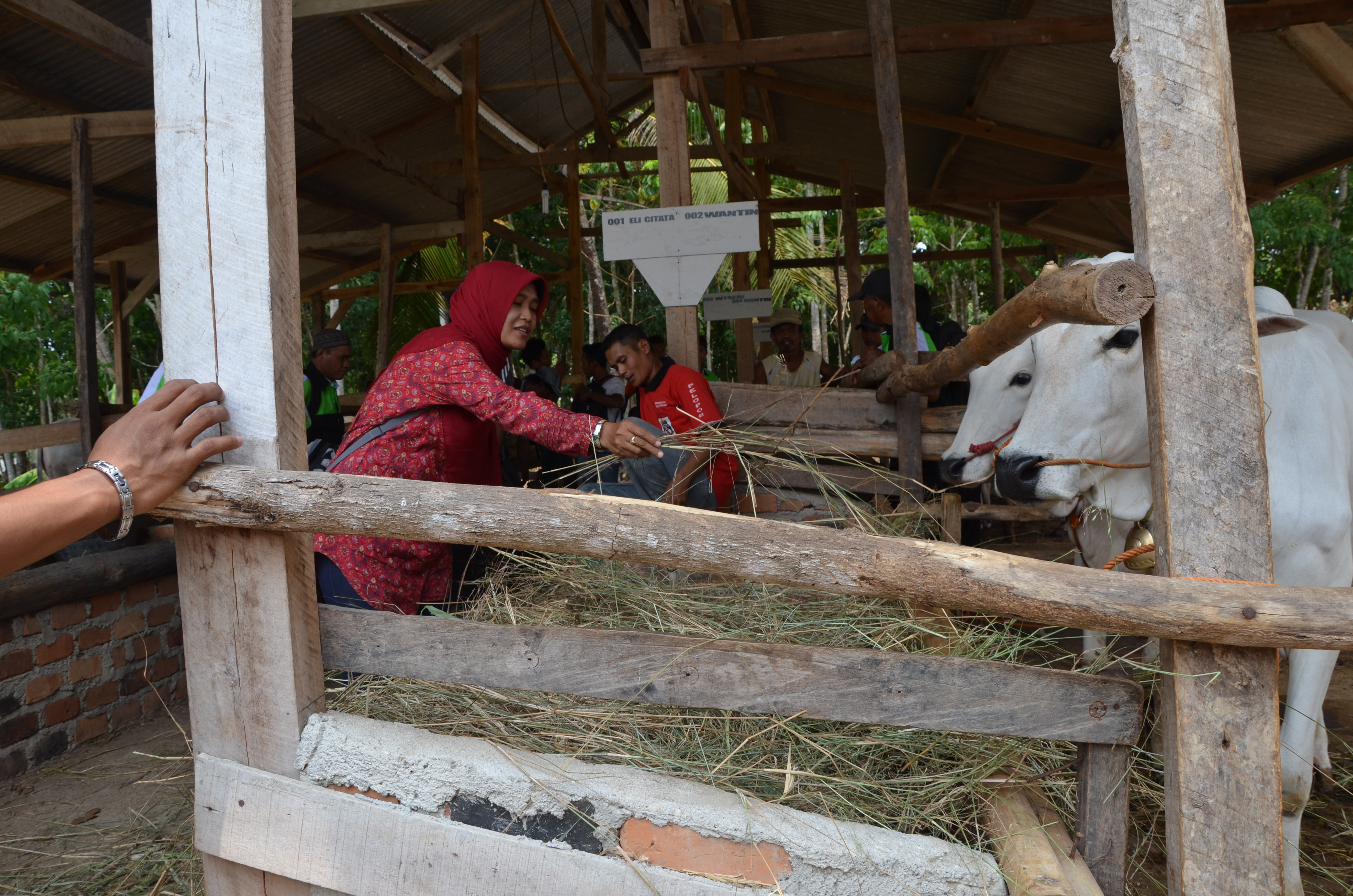 Kepala Seksi Perencanaan KPH Muara Dua