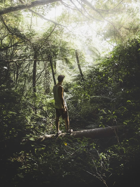 Reconnecting with Your Inner Self