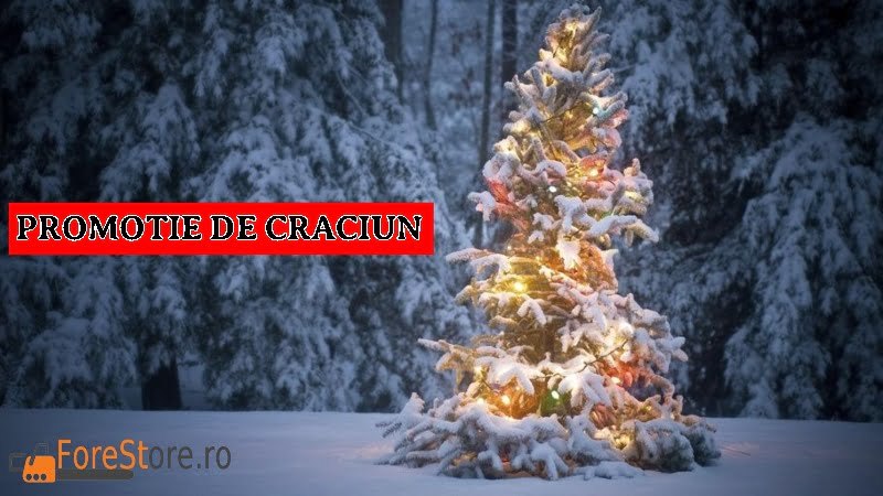 CHRISTMAS-FORESTORE.RO