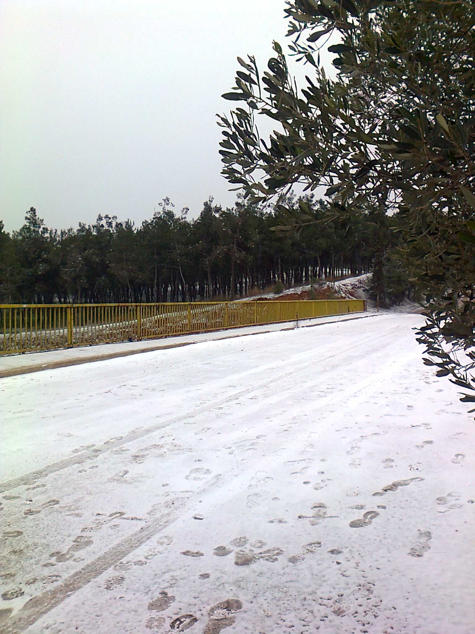 Φωτογραφία4155