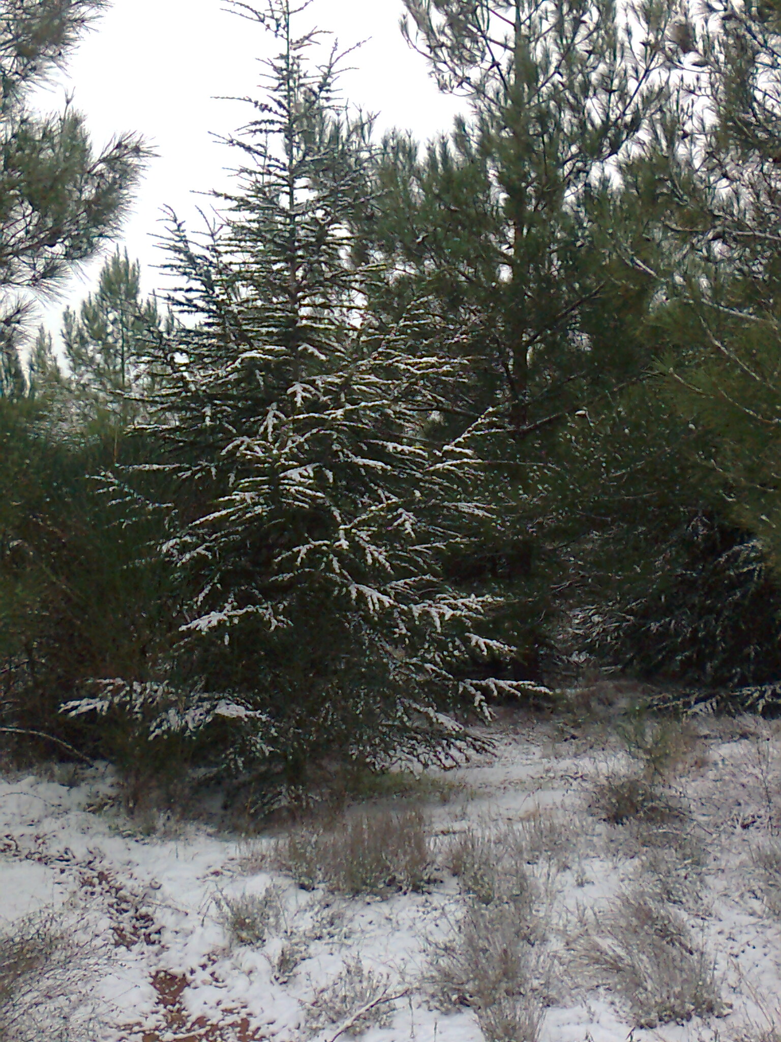 Φωτογραφία4164