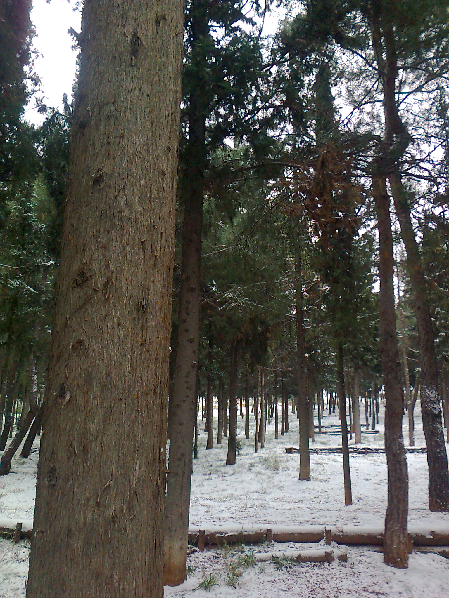 Φωτογραφία4149