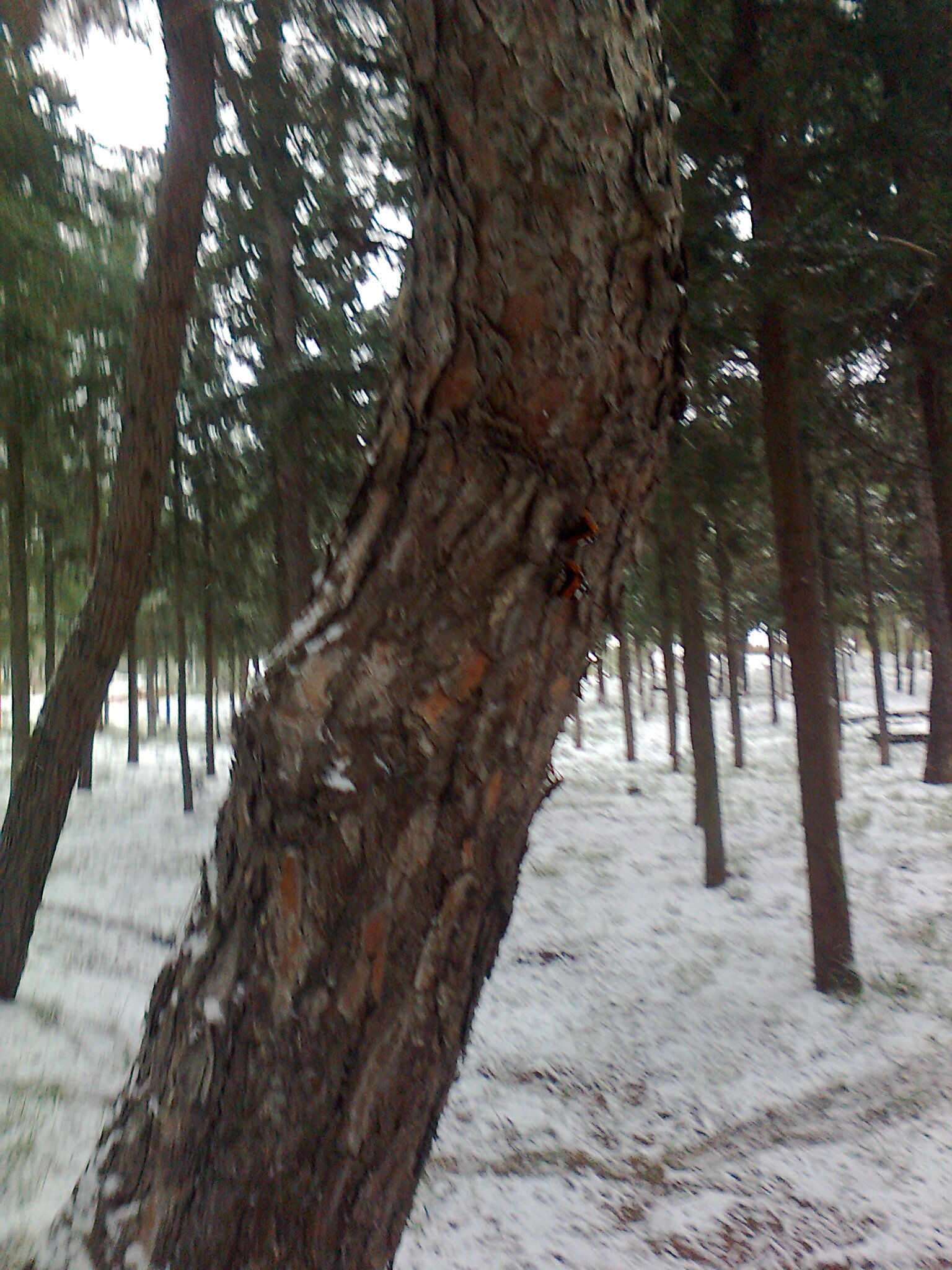 Φωτογραφία4150