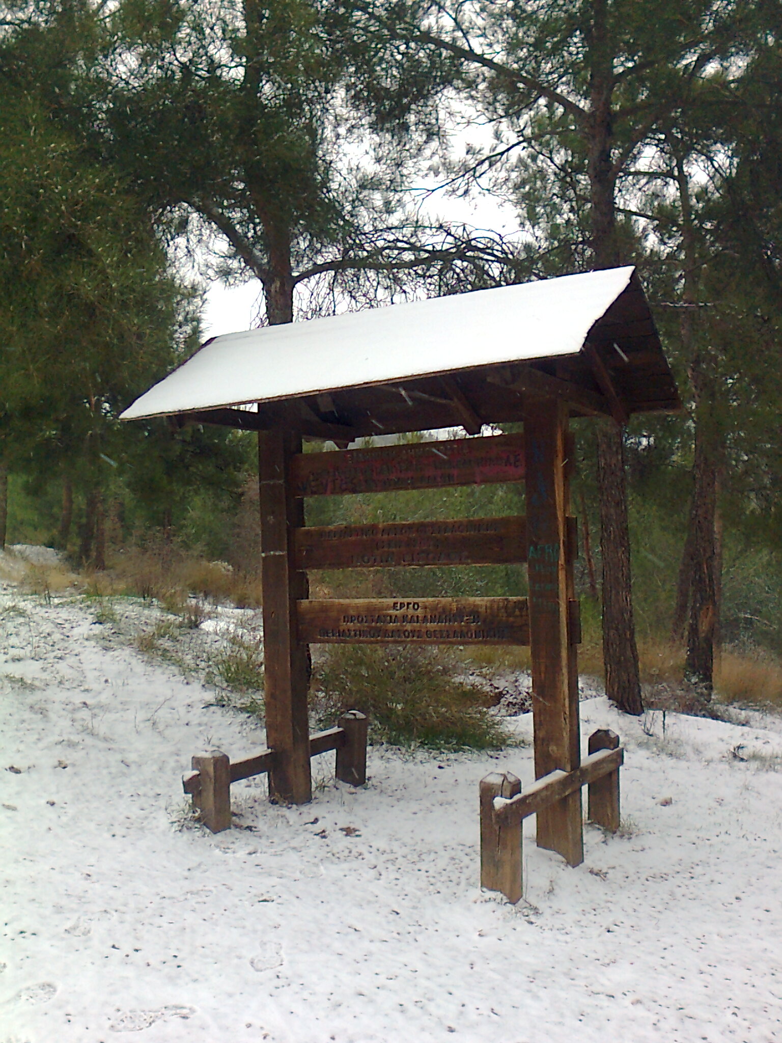 Φωτογραφία4158