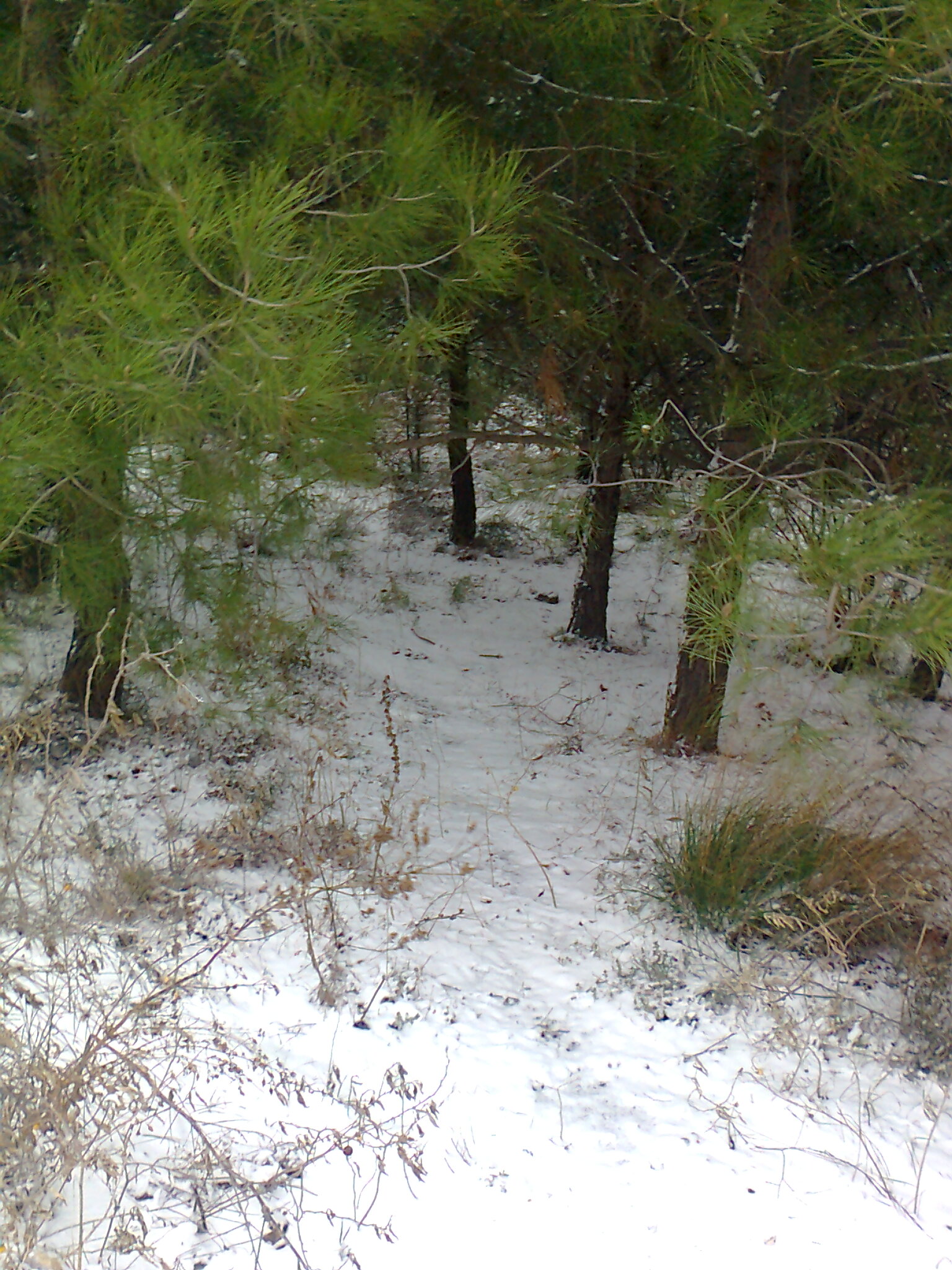 Φωτογραφία4159